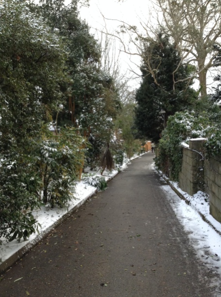 Falmouth Campus drive - possibly the clearest path in Falmouth!